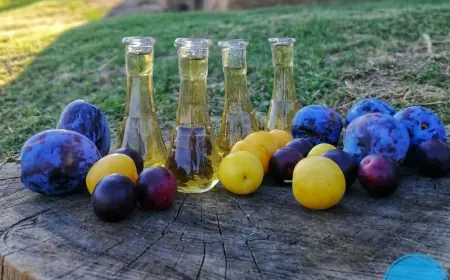 Nacionalni festival domaćih rakija "Rakije Srpske" u Laktašima