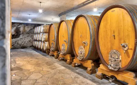 Anđelić – Trebinjska tišina u čaši