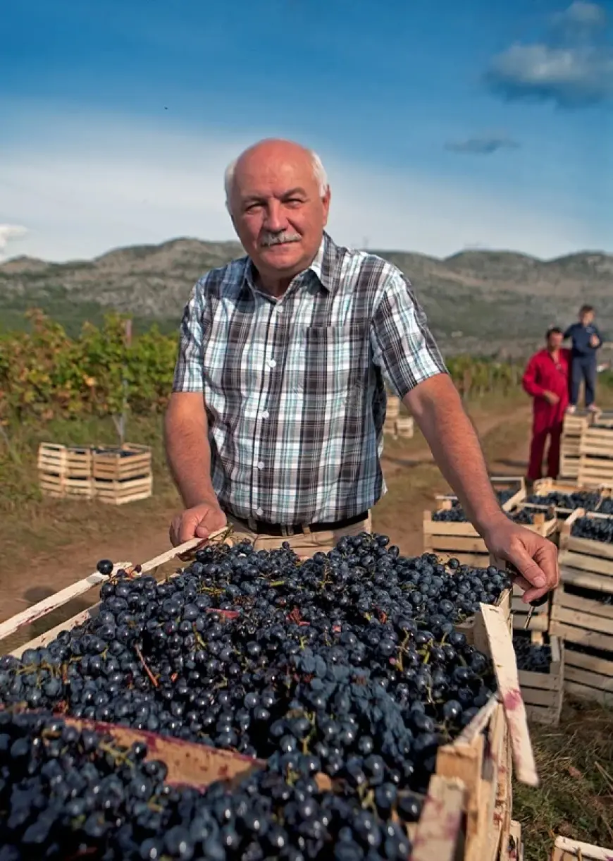 Anđelić – Trebinjska tišina u čaši