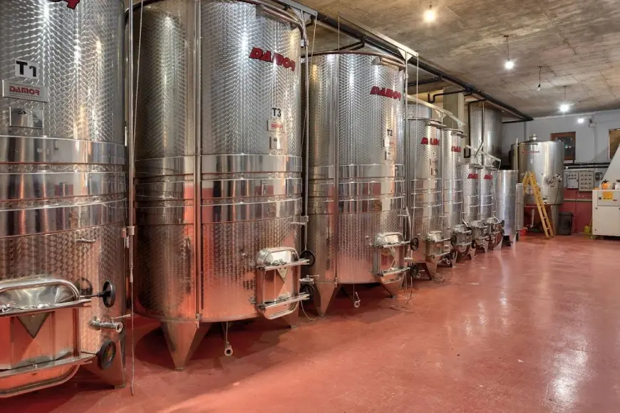 Anđelić – Trebinjska tišina u čaši